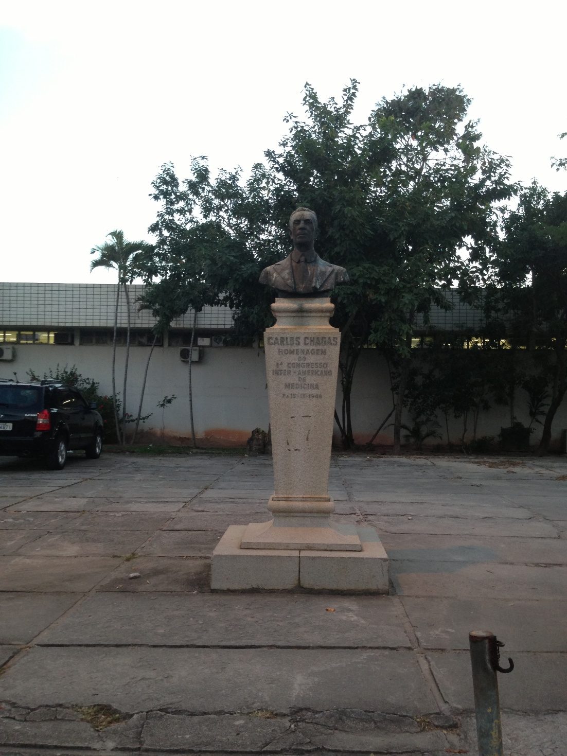Carlos Chagas' bust (1).JPG